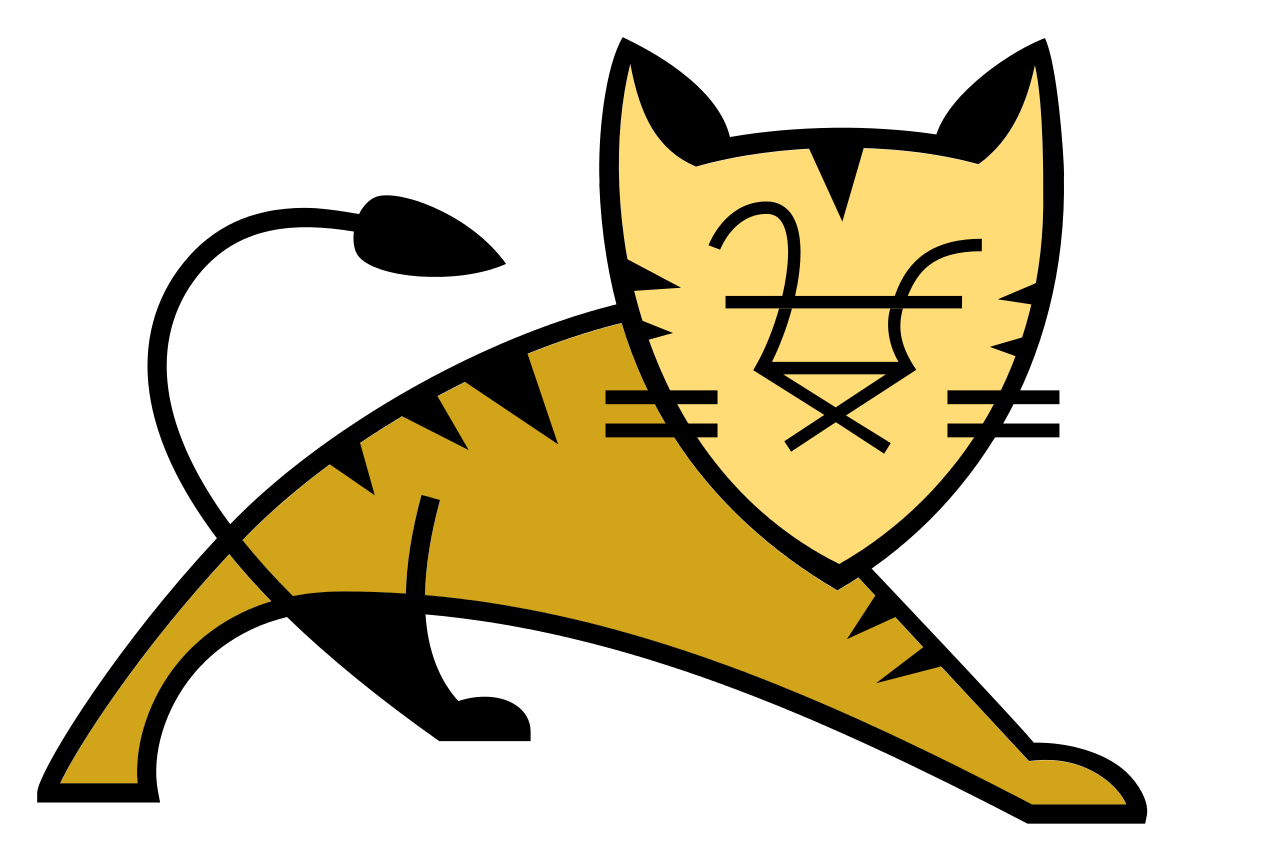 Apache Tomcat container tuning services for performance and stability.